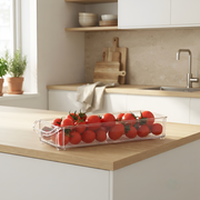 Freezer-Safe Storage Box