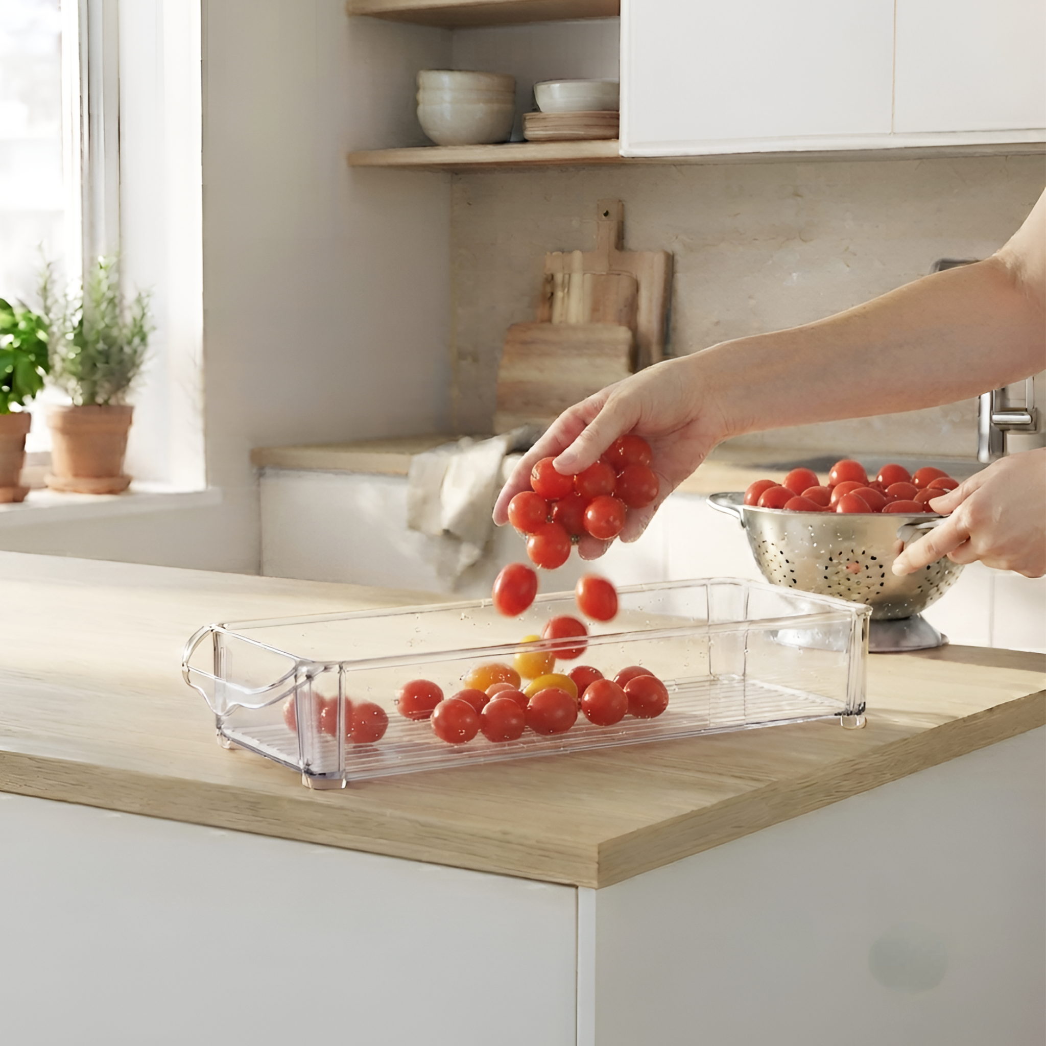 Freezer-Safe Storage Box