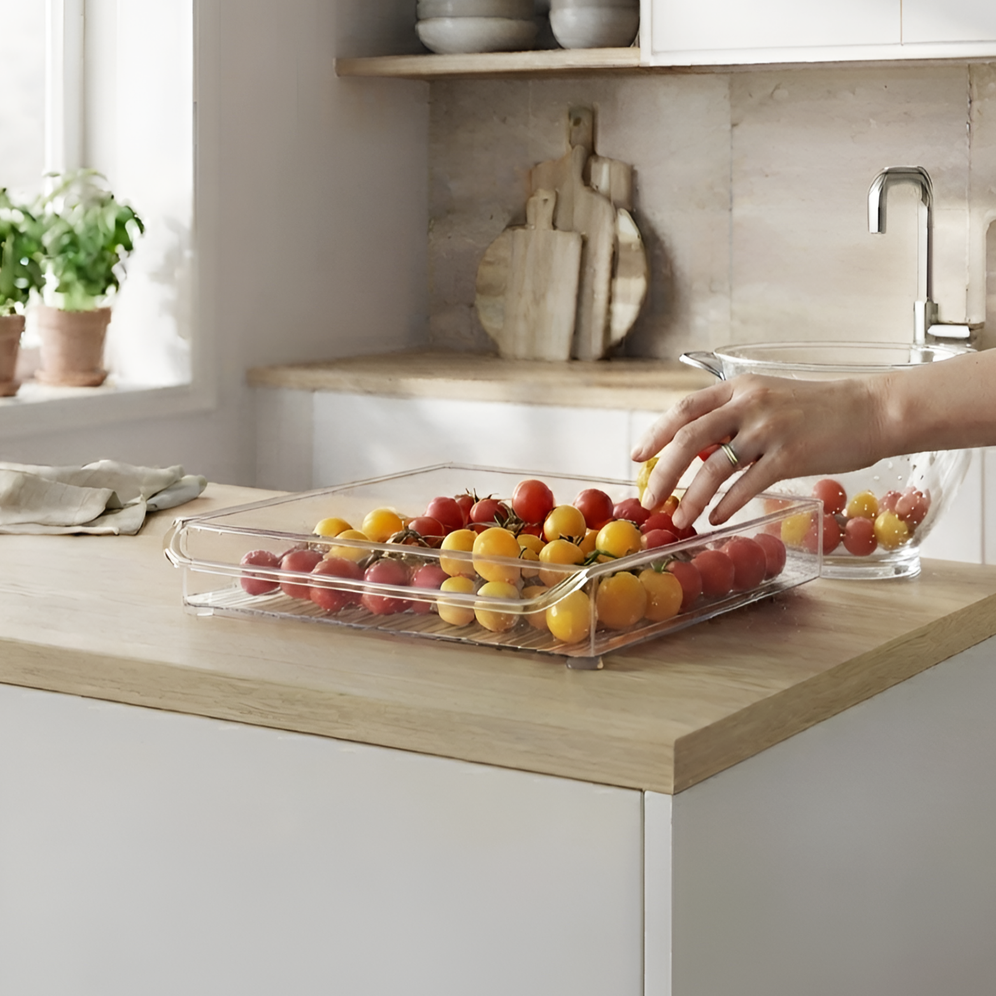 Freezer-Safe Storage Box
